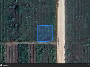 form.choice.t_agricultural-land 931 m², Fundul Galbenei, r-ul Hâncești, ID: 1