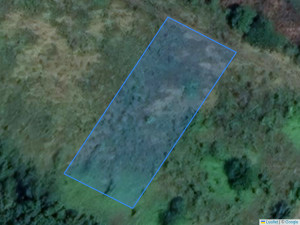 form.choice.t_agricultural-land 1345 m², Fundul Galbenei, r-ul Hâncești, ID: 11