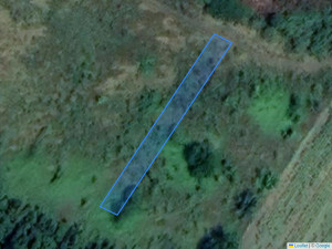 form.choice.t_agricultural-land 310 m², Fundul Galbenei, r-ul Hâncești, ID: 13