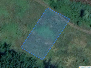 form.choice.t_agricultural-land 1242 m², Fundul Galbenei, r-ul Hâncești, ID: 6